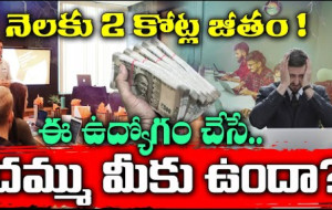 కోట్లలో ఉన్న ఆ ఉద్యోగ ప్యాకేజీ ..చేయడానికి ఎందుకు జంకుతున్నారు? #kknewstelugu #lighthouse #seaport