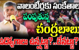 వాలంటీర్ల పై చంద్రబాబు సంచలన నిర్ణయం