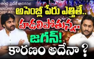 జగన్ అసెంబ్లీ పేరు వింటే ఎందుకు అంత హడలిపోతున్నాడు