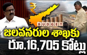 జలవనరులకు రూ. 16,705 కోట్లు కేటాయింపు