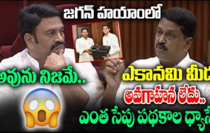 జగన్ ప్రభుత్వంలో వాళ్ళకి ఎకానమీ మీద అవగాహన లేదు