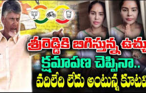 శ్రీరెడ్డి క్షమాపణలు కోరినా ..అయినా వదలని కూటమి