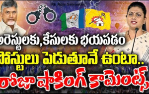 సోషల్ మీడియా పోస్టుల పై షాకింగ్ కామెంట్స్