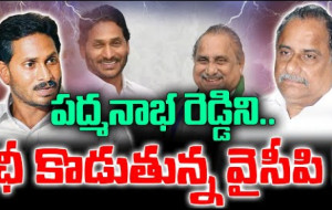 ముద్రగడను ఛీ కొడుతున్న వైసీపీ