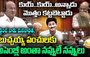 జగన్ పై బుచ్చయ్య పంచులకు అసెంబ్లీలో అంతా నవ్వులు