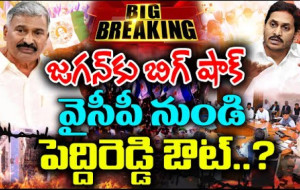 వైసీపీకి పెద్దిరెడ్డి గుడ్ బై !