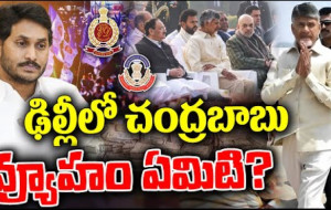 చంద్రబాబు ఢిల్లీ పర్యటన వెనుక వ్యూహం ఏమైనా ఉందా ?