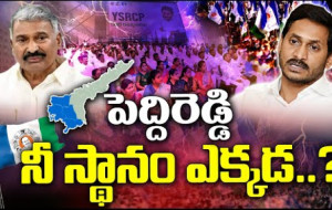 వైసీపీలో పెద్దిరెడ్డి సైలెంట్ అవ్వడానికి కారణం ఏమిటి ?