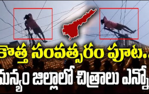 మానవులపై మద్యం దుష్ప్రభావాలు, విద్యుత్ తీగలపై పడుకున్న తాగుబోతు, kk news telugu, ఆంధ్రప్రదేశ్...!