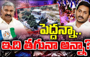 పెద్దిరెడ్డి రామచంద్రారెడ్డి అరెస్ట్...! kknewstelugu.