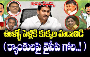 గోదారి కిట్టయ్య..ఊళ్ళో పెళ్లికి కుక్కల హడావిడి..ర్యాంకులపై వైసీపి గోల...! kknewstelugu.